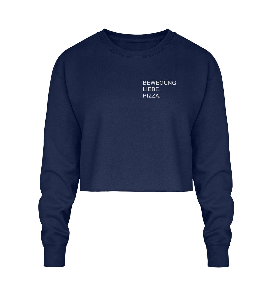 New French Navy-1676